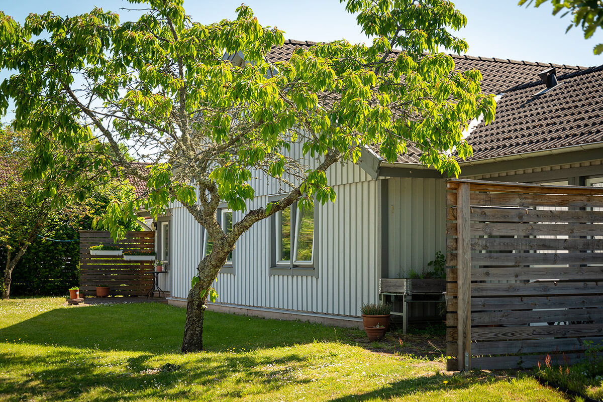 Bild på Torpgatan 23