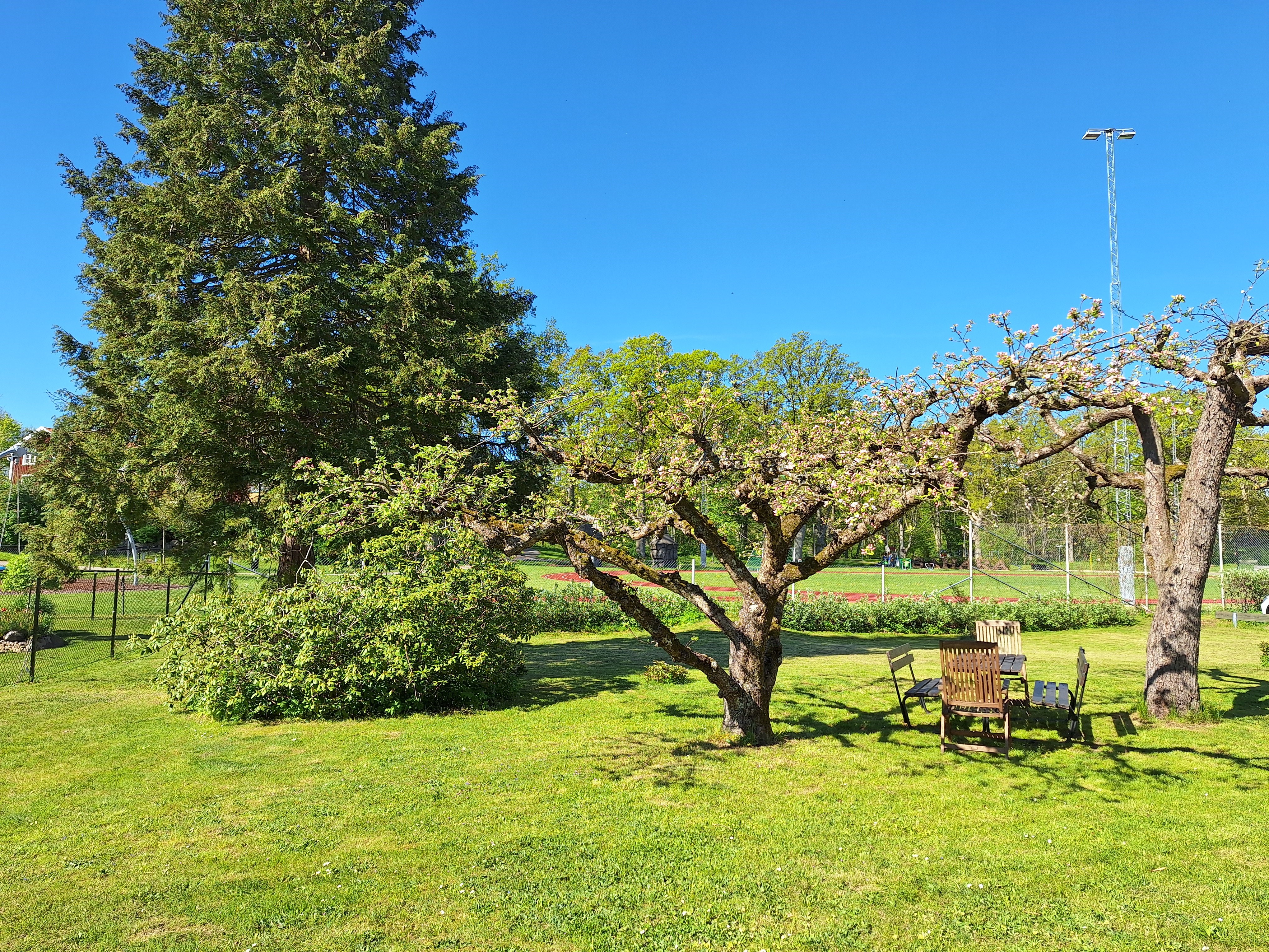 Bild på utemiljö Allfargatan 23