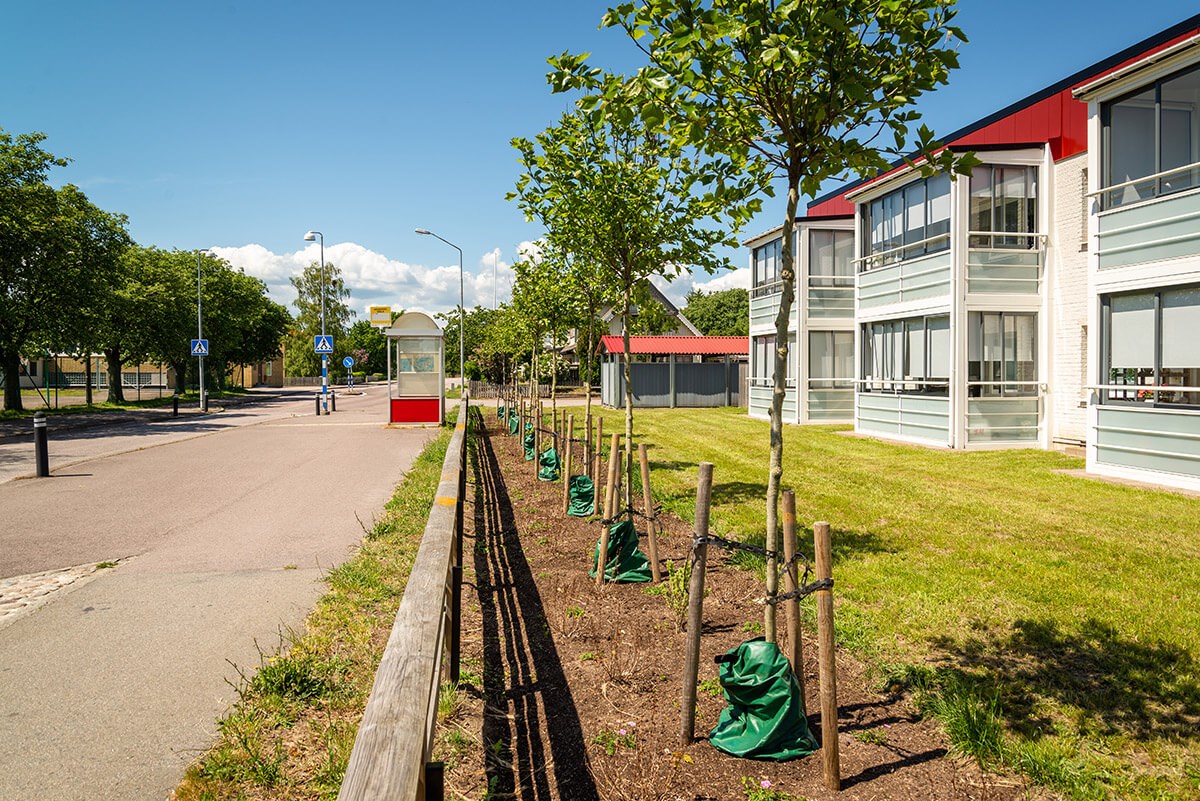 Bild på Storgatan 23