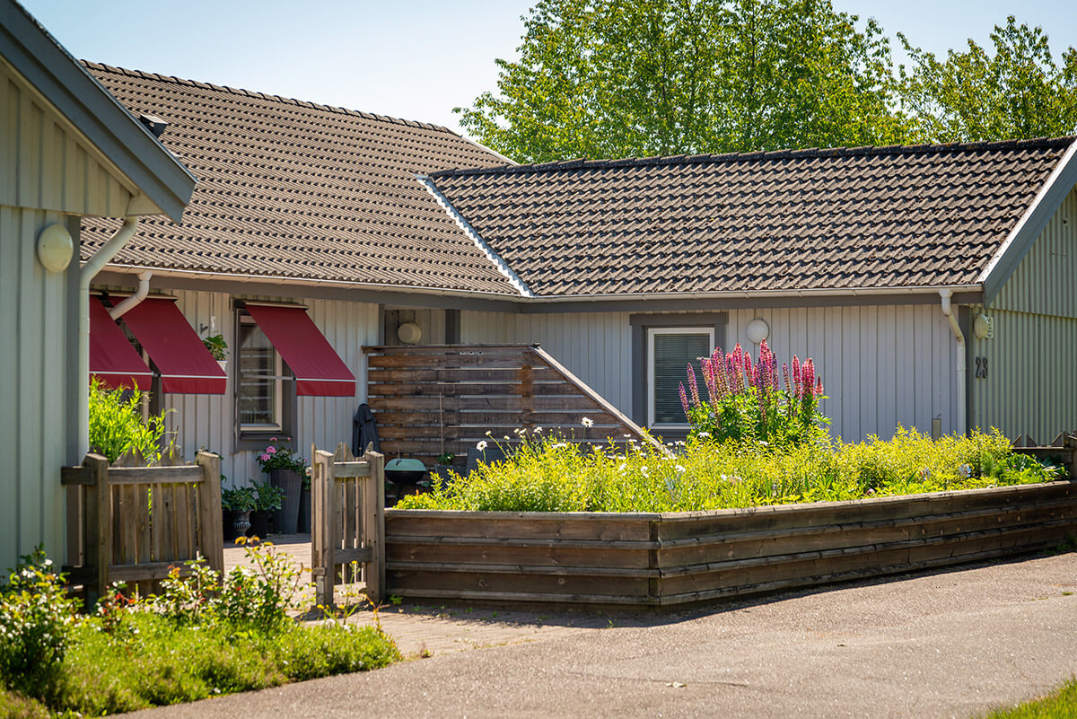 Bild på Torpgatan 23